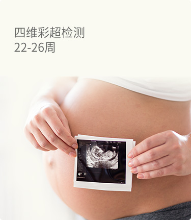 四维彩超检测22-26周
