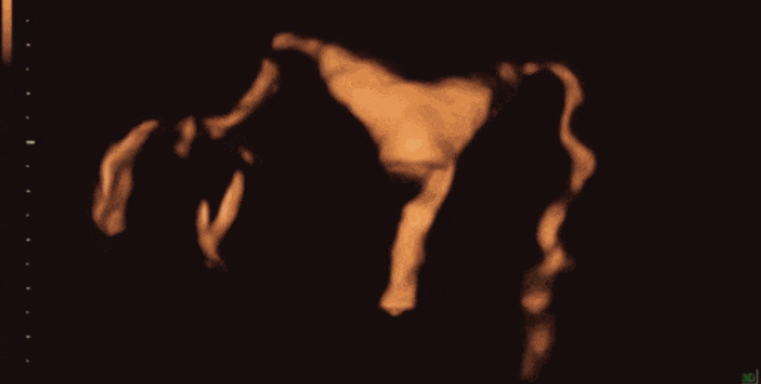 1764809658177032.png image.png