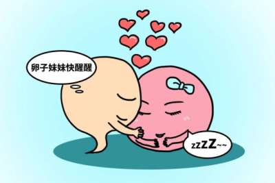 精卵相遇却“怀不上”，卵子“装睡”怎么办？