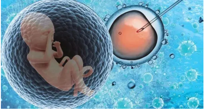 1762823848966260.png image.png