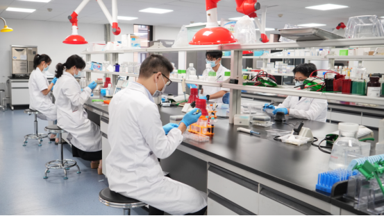 1770108979433196.png image.png