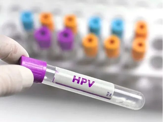 1770110046813379.png image.png